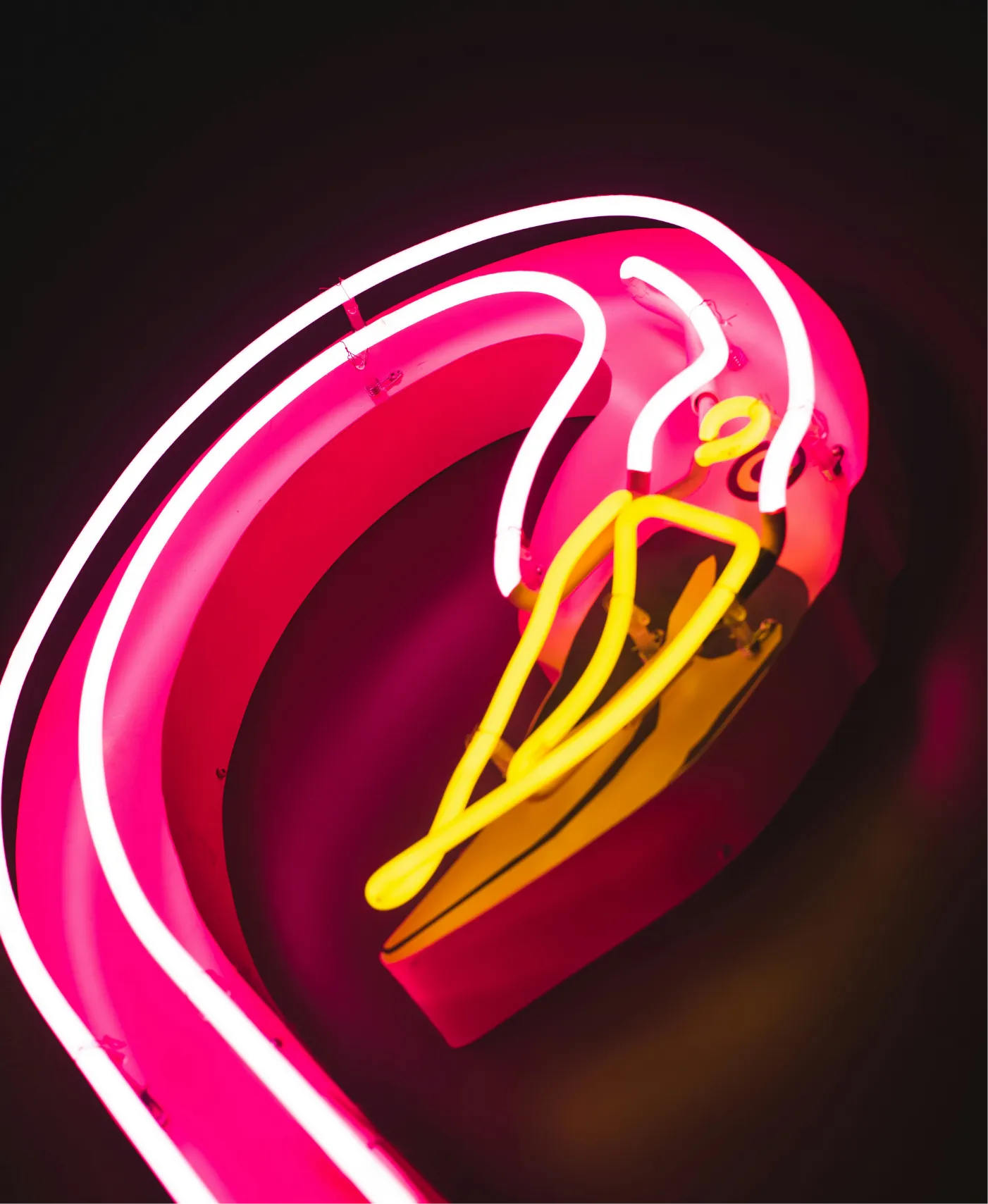 Neon design flammant rose